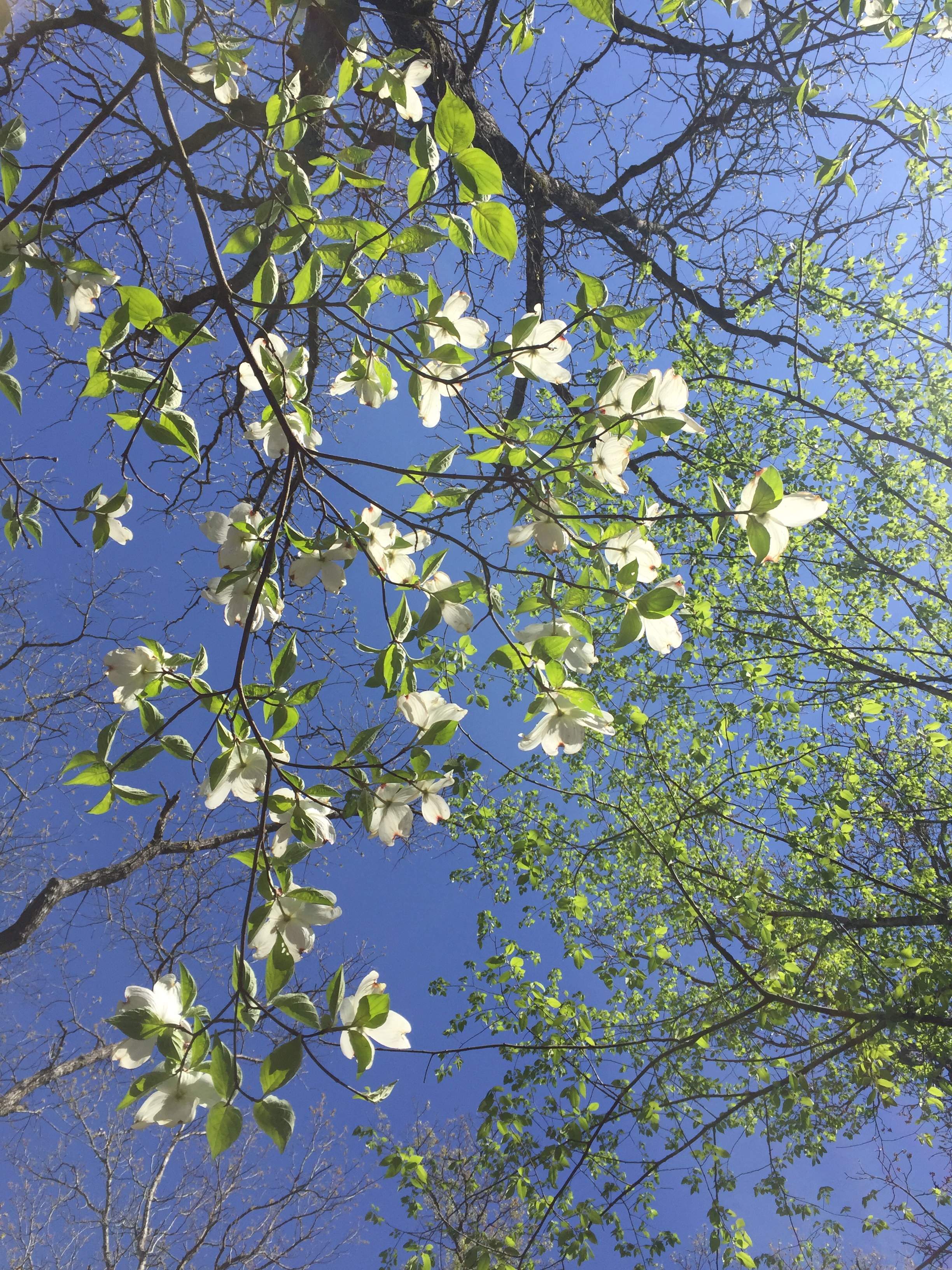 43BA8A0E-FD8F-43C0-B1BA-FFF0A4F3474E